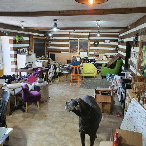 274085534 980959586158880 5409413444744727957 n