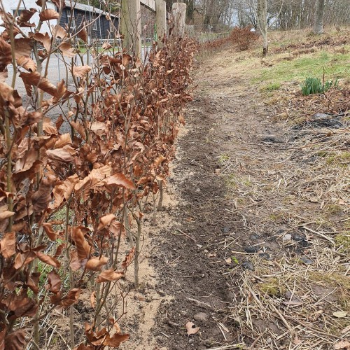 275546176 995367094718129 3451085581975327747 n