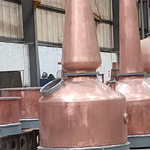 279032571 1024643655123806 2488139454181886418 n