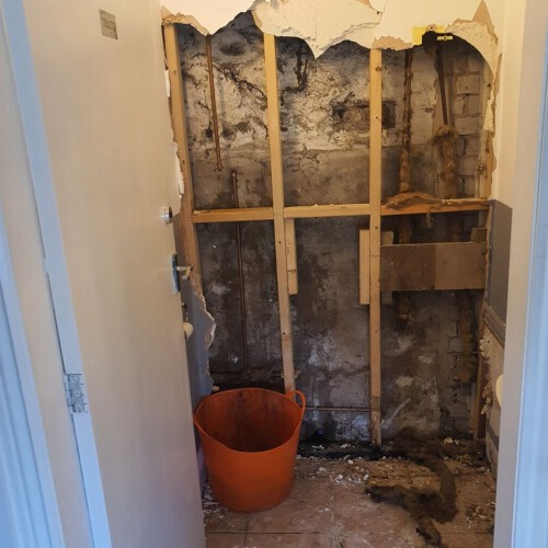 279240616 1024197341835104 2173047084050483840 n